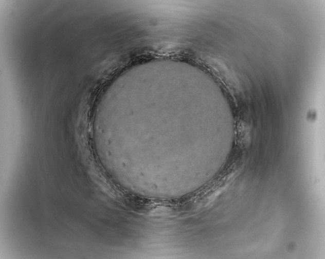 X0000103930913200809191346