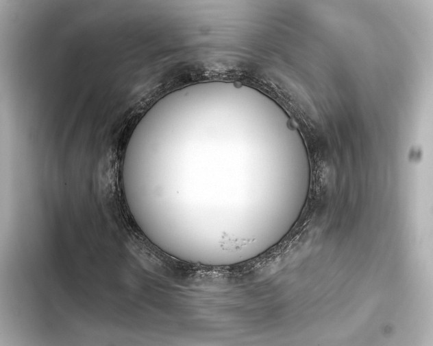 X0000103930914200809191346