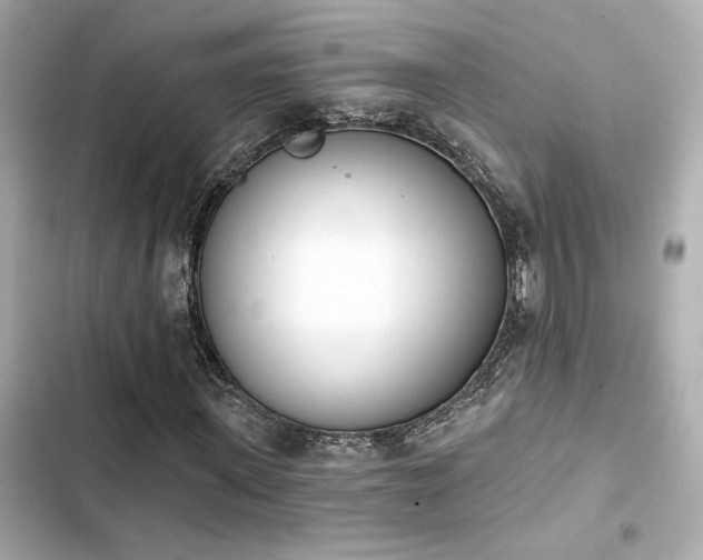 X0000103930915200809191347