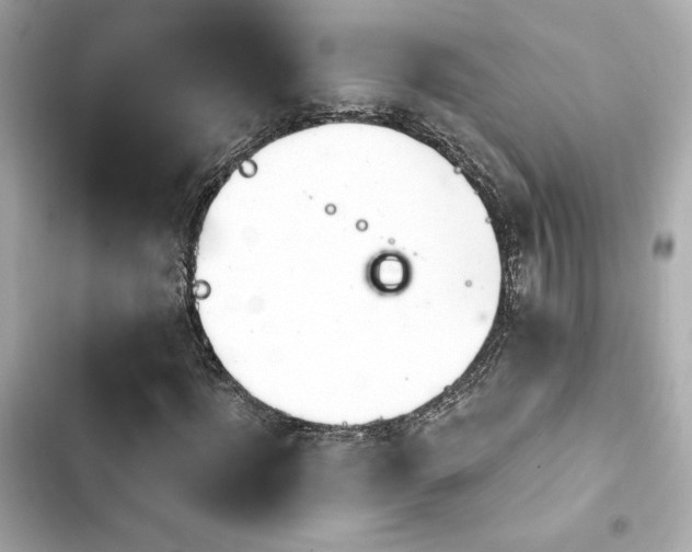 X0000103930916200809191347