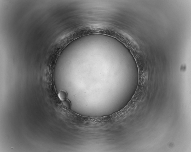 X0000103930917200809191347