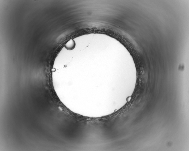 X0000103930918200809191347