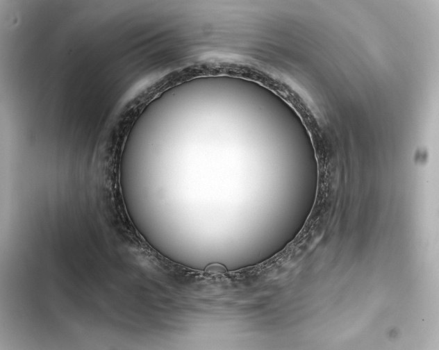 X0000103930919200809191347