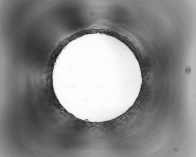 X0000103930920200809191347