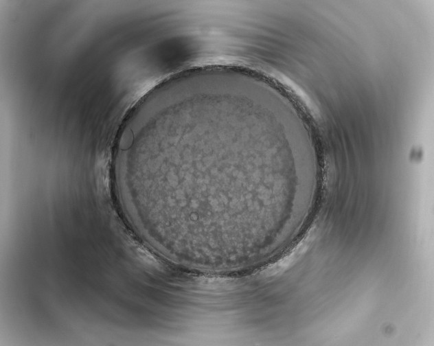 X0000103930921200809191347