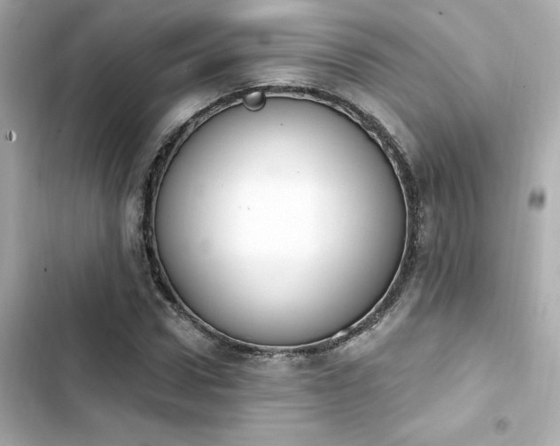 X0000103930922200809191347