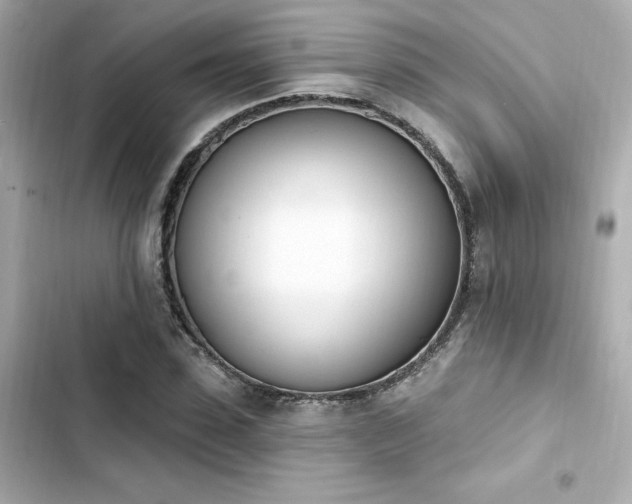 X0000103930923200809191347