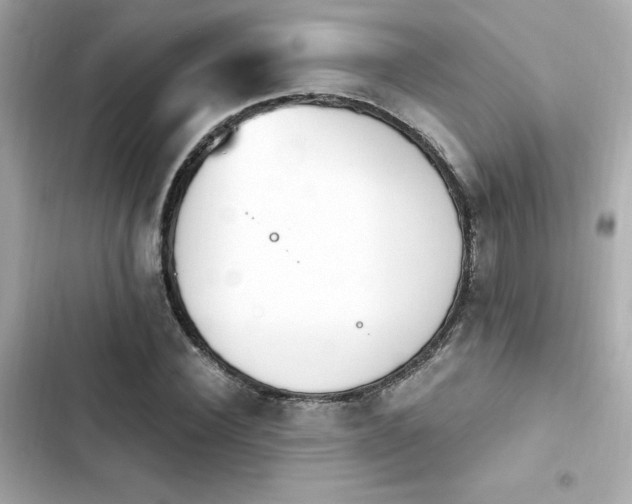 X0000103930924200809191347