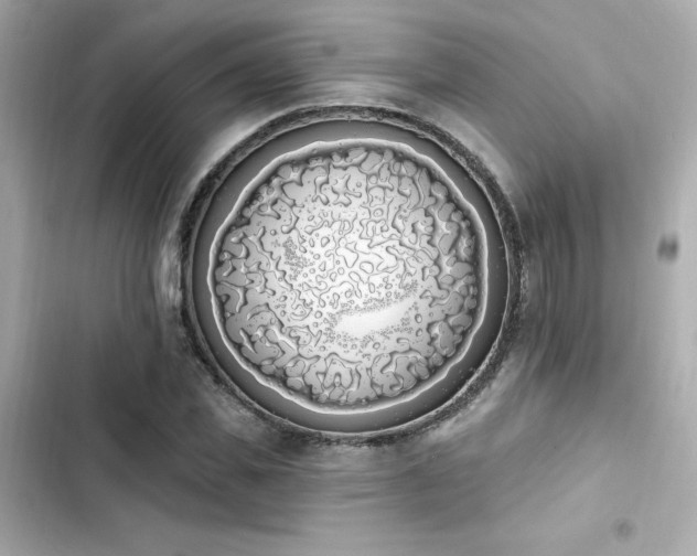 X0000103930925200809191347