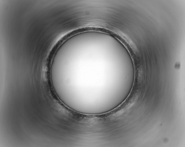 X0000103930926200809191347