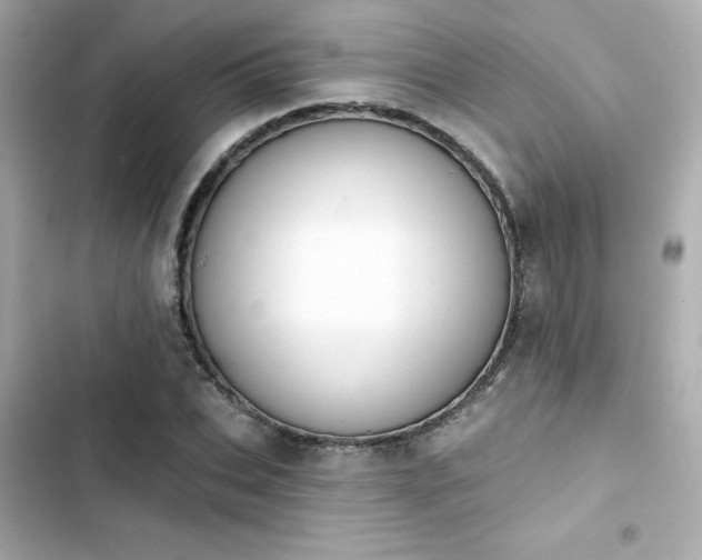X0000103930927200809191347