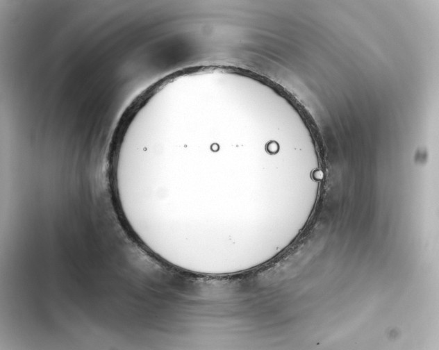 X0000103930928200809191347