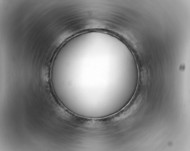 X0000103930929200809191347