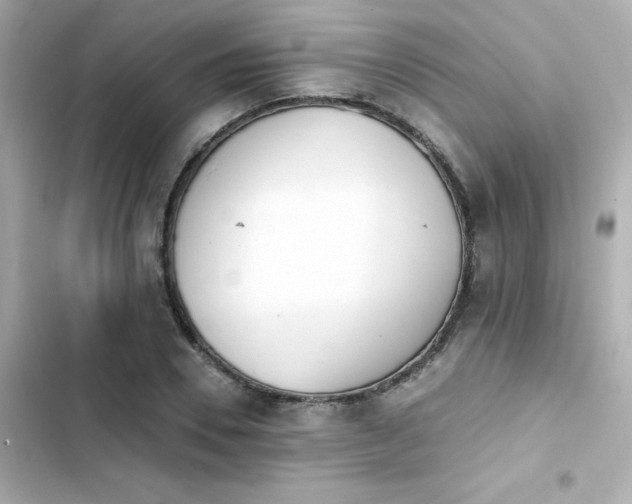 X0000103930930200809191347