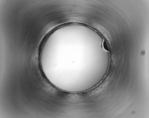 X0000103930931200809191347