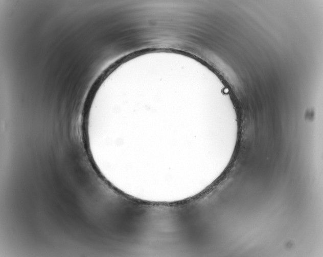 X0000103930932200809191347