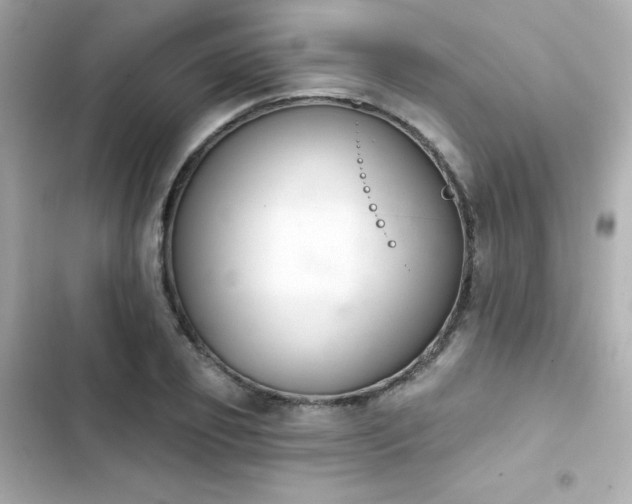 X0000103930933200809191347