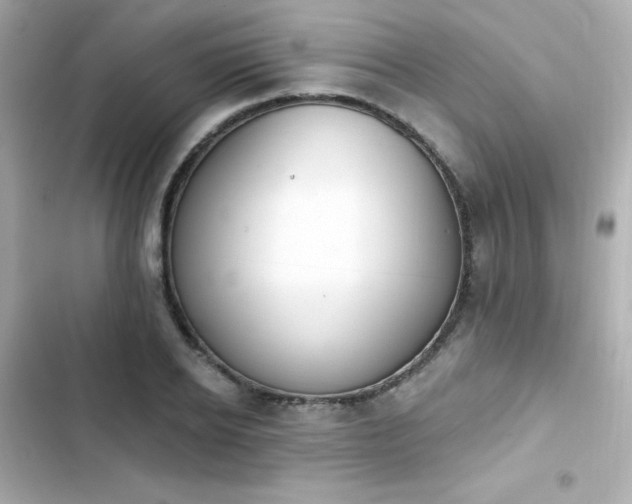 X0000103930934200809191347