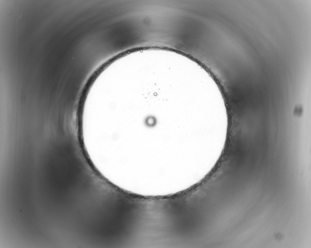 X0000103930936200809191347