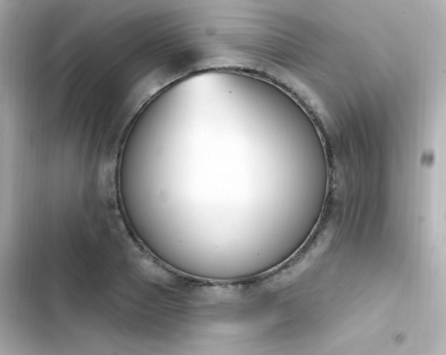 X0000103930937200809191347