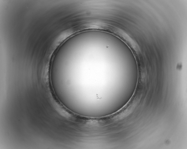 X0000103930938200809191347