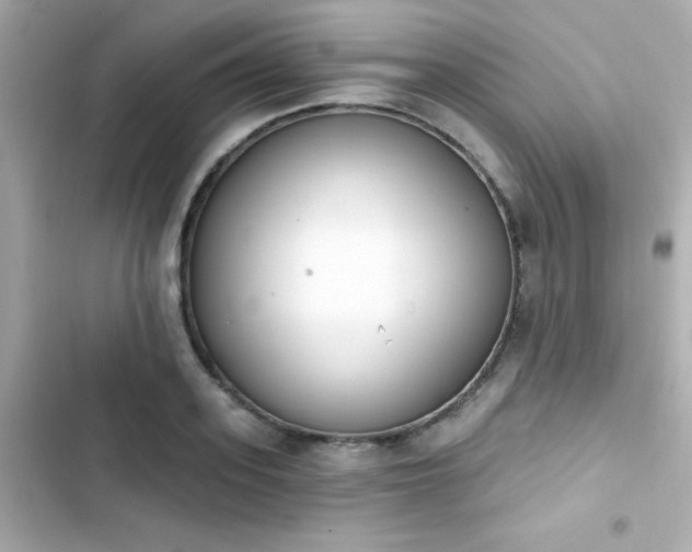 X0000103930939200809191347