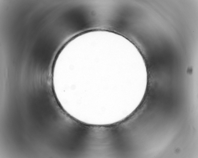X0000103930940200809191347