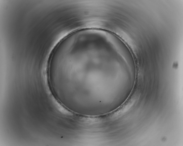 X0000103930941200809191347