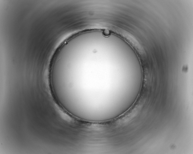 X0000103930942200809191347
