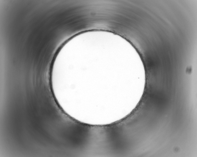 X0000103930944200809191347