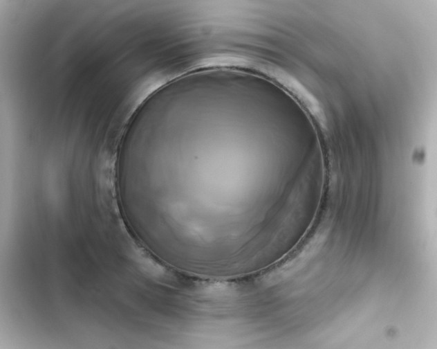 X0000103930945200809191347