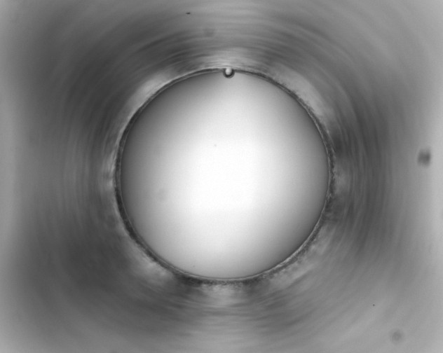 X0000103930946200809191347