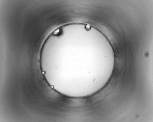 X0000103930948200809191347