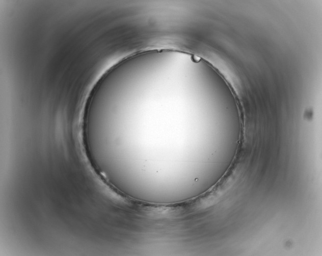 X0000103930949200809191347