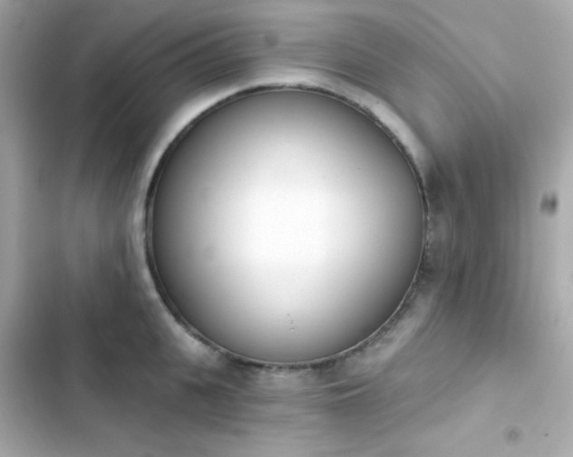 X0000103930951200809191347
