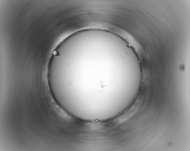 X0000103930952200809191347