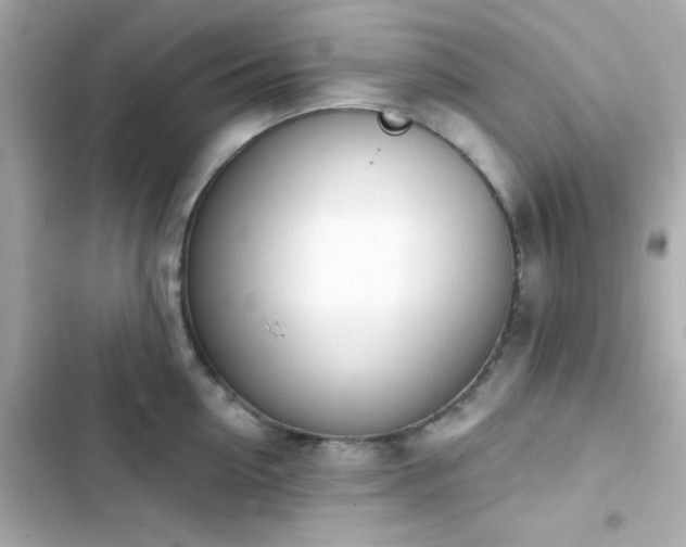 X0000103930954200809191347
