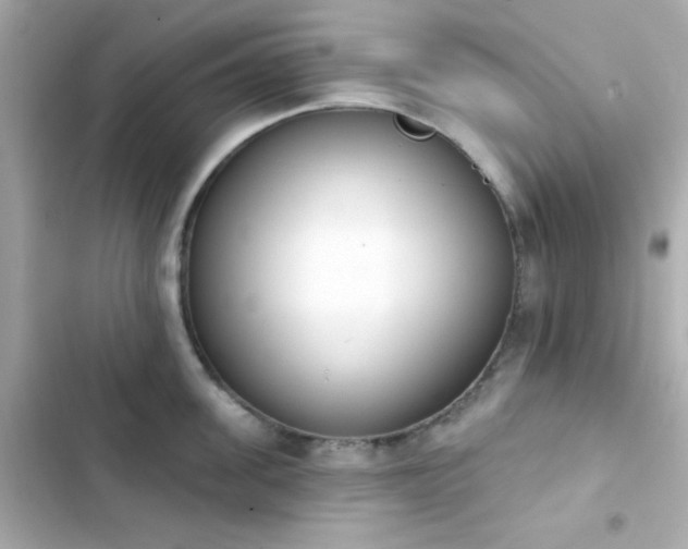 X0000103930955200809191347