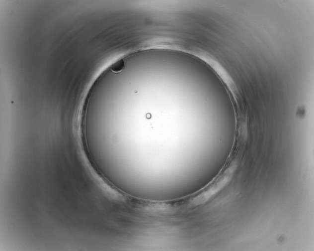 X0000103930957200809191347