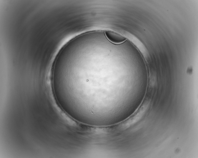 X0000103930958200809191347
