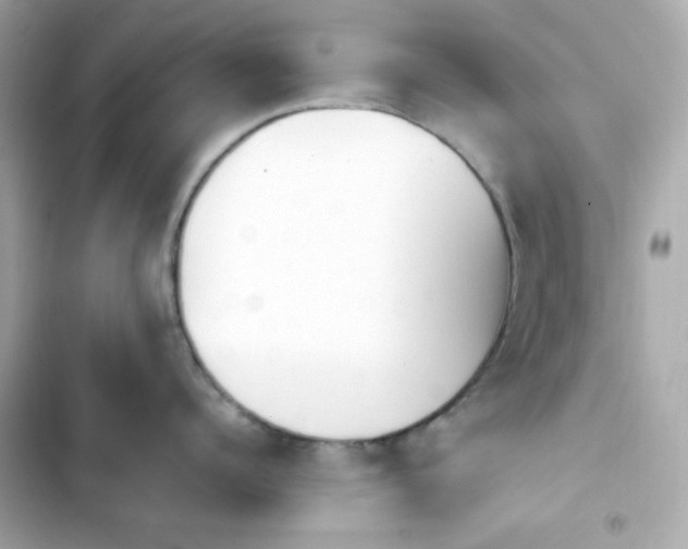 X0000103930960200809191347