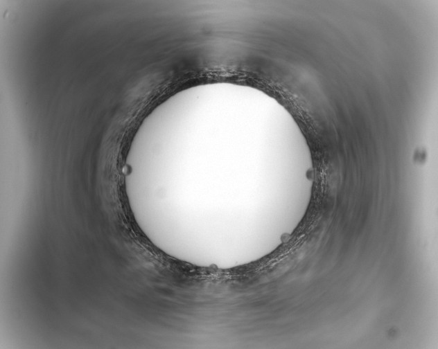 X0000103930961200809191346