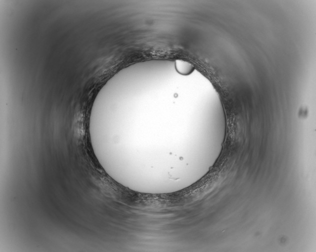 X0000103930962200809191346