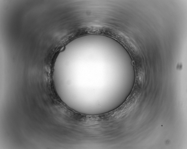 X0000103930964200809191346