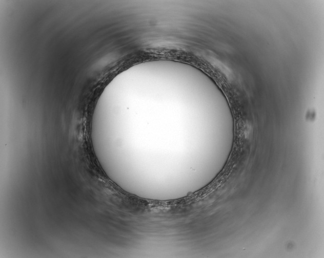 X0000103930965200809191346