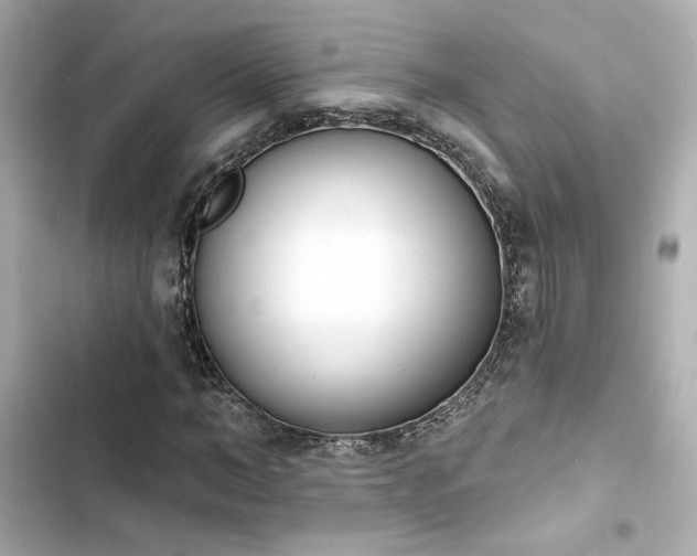 X0000103930966200809191346