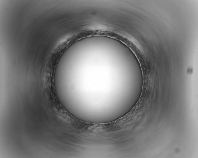 X0000103930967200809191346