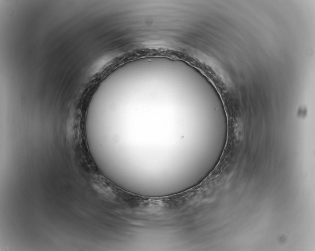 X0000103930968200809191346