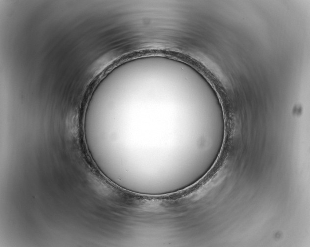 X0000103930969200809191346