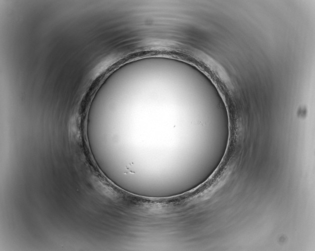 X0000103930970200809191346